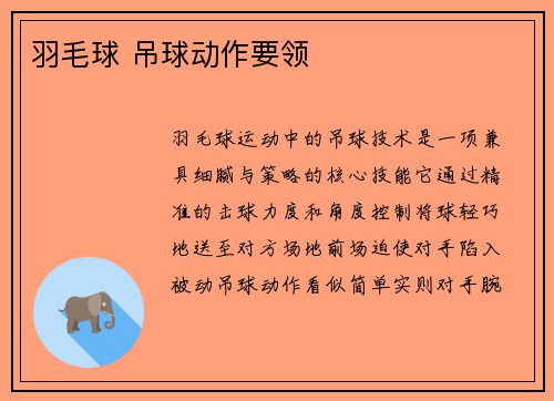 羽毛球 吊球动作要领